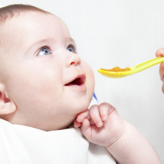 Введение прикорма детям первого года жизни